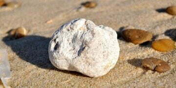 Ambergris