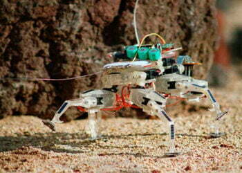 Insects and Inspired Artificial Robots