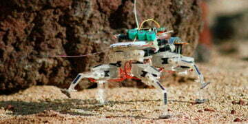Insects and Inspired Artificial Robots