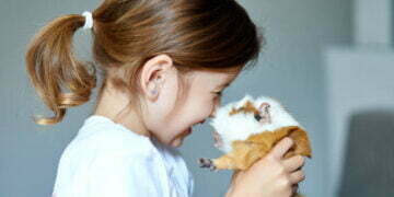 IELTS Reading Practice Test 55