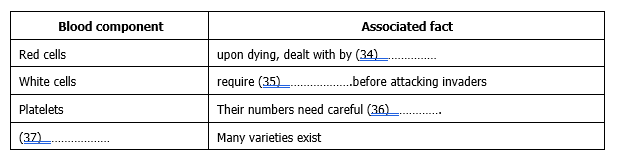 ielts-reading-what’s-in-blood