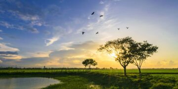 natural resources such as oil forests and freshwater are being consumed
