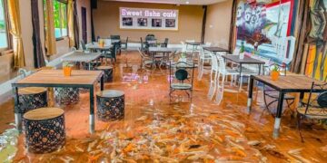 a café you like or dislike