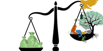 an environmental law