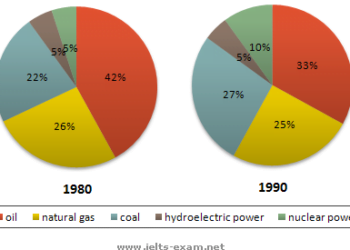 The main sources of energy in the USA in the 1980s and the 1990s