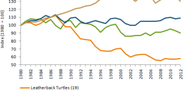The population figures of different types of turtles in India between 1980 and 2012