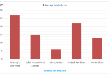 Effects of different brands of fertilizer on bean plant