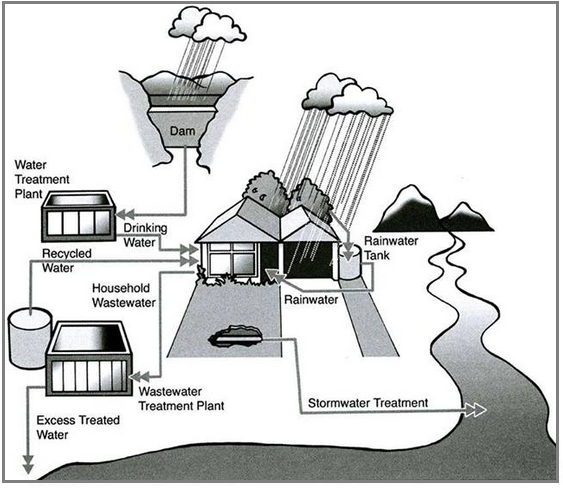 How rainwater is reused for domestic purposes