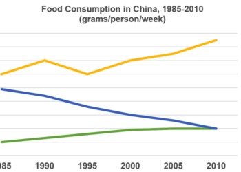 The changes in food consumption by Chinese people