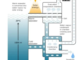 The production of electricity using a system called Ocean Thermal Energy Conversion