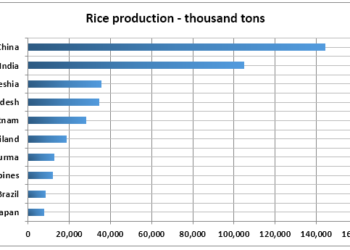 Top ten rice producing countries in the world in 2015