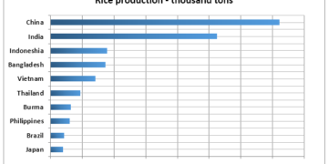 Top ten rice producing countries in the world in 2015