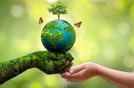 Collocation for IELTS: The Environment