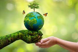 Collocation for IELTS: The Environment