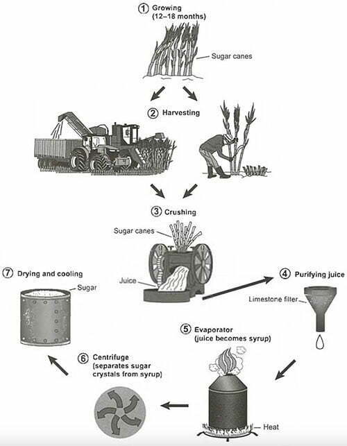 shows the manufacturing process for making sugar from sugar cane