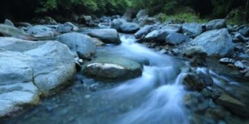 ielts-speaking-part-3-topic-53