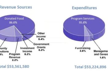 the amount of money that a children's charity located in the USA spent