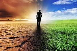 people-have-little-understanding-of-the-importance-of-the-natural-world