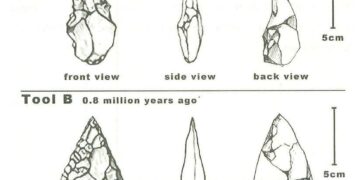 the-development-of-cutting-tools-in-the-stone-age