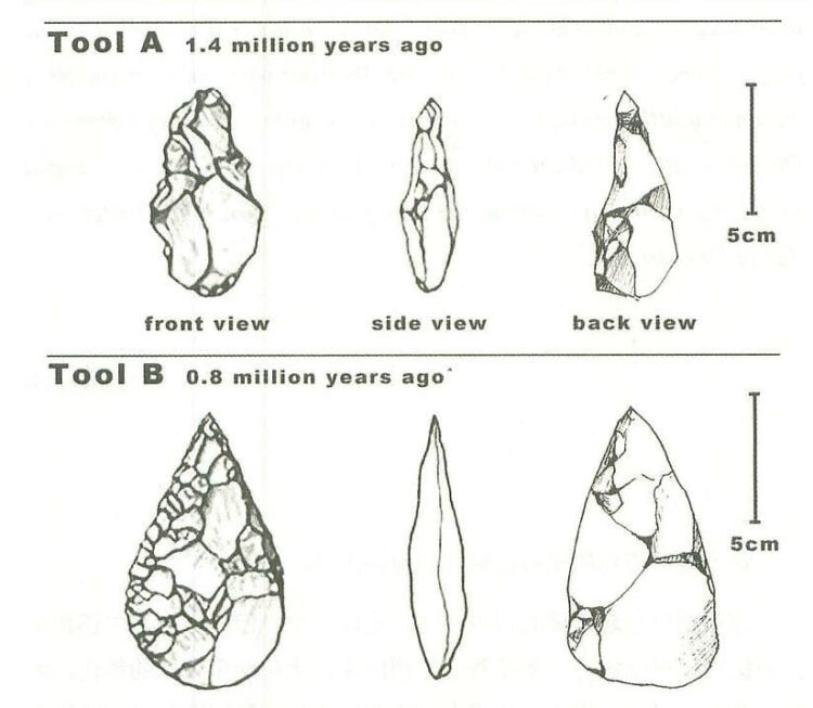 the-diagram-below-shows-the-development-of-cutting-tools-in-the-stone