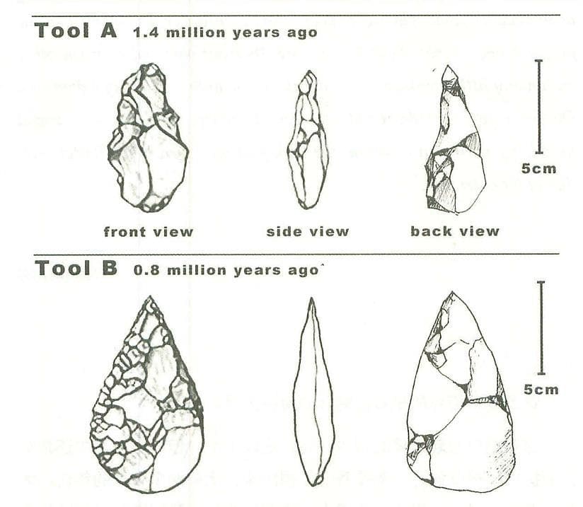 the-development-of-cutting-tools-in-the-stone-age