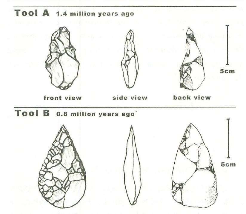 The diagram below shows the development of cutting tools in the Stone ...